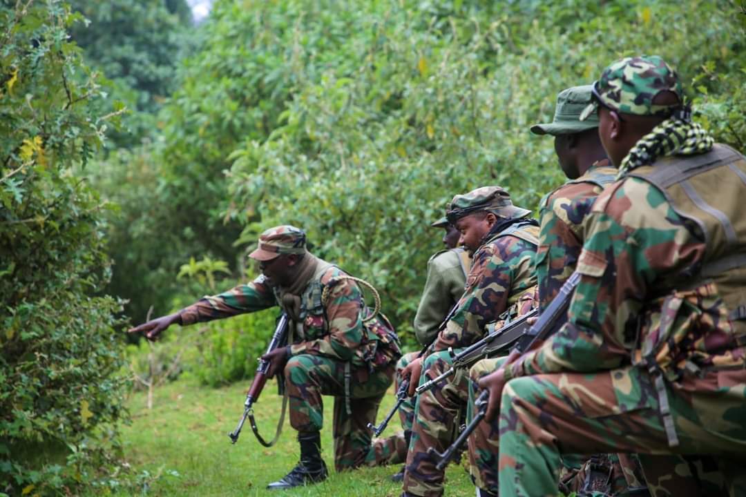 Karasinga3's tweet photo. Rangers all across the globe are tasked with the increasingly dangerous and difficult job of protecting wildlife from poaching. We acknowledge your support 
This #WorldRangerDay, let’s celebrate the immense efforts and sacrifices of these environmental heroes.
#rangerday #ranger https://t.co/ZhnoCcumUp