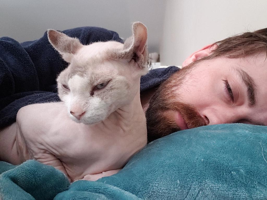 Jcluster tweet media