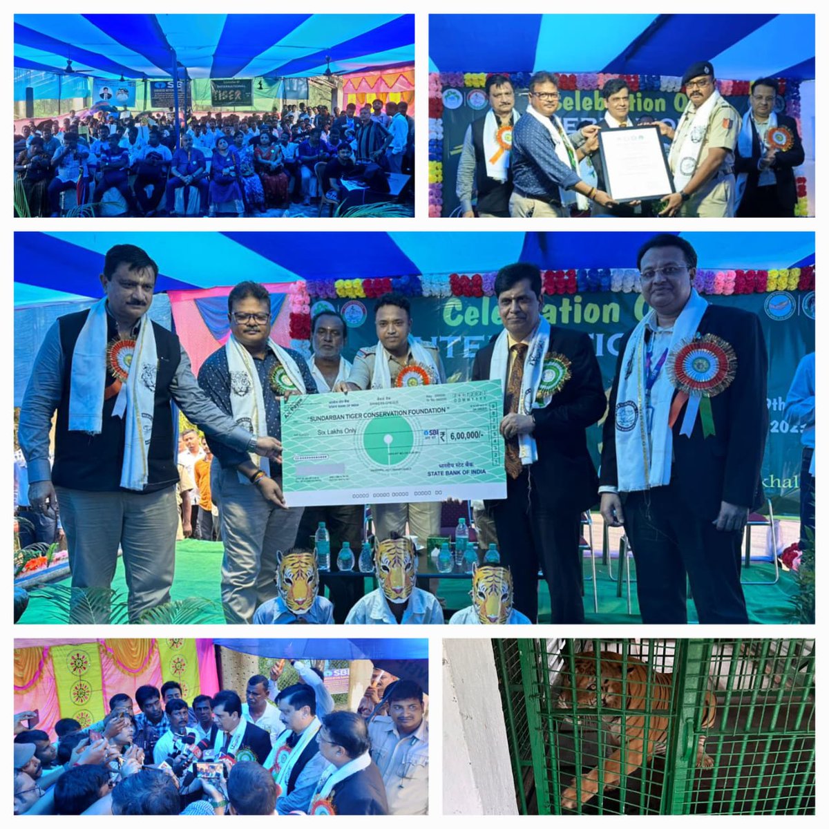 CGMSBIKol's tweet photo. On the occasion of “International Tiger Day” #SBIKol Circle is proud to be associated with the conservation efforts of WB Govt Forest Dept and has adopted 3 Tigers (Sohan, Suhani & Sundar) in Jharkhali, Sundarban for one year. #WorldTigerDay #BengalTiger #ServiceBeyondBanking https://t.co/6cxjohdaNQ