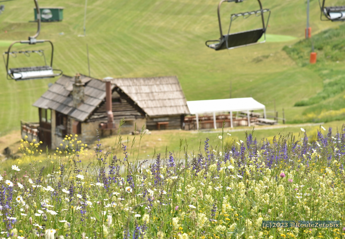 Que la montagne est belle en été 🌼

#Auron #Mercantour @Auron_Officiel #ExploreCotedAzur #NiceCotedAzur #AlpesMaritimes #AlpesduSud #MagnifiqueFrance #BaladeSympa