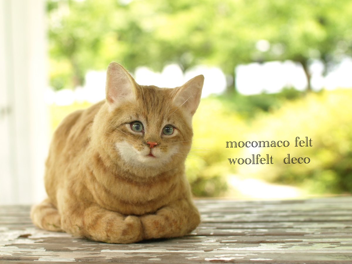 羊毛フェルトの茶トラ猫です
今回は外での撮影😊屋内と違って外も良いかも
#羊毛フェルト #羊毛 #羊毛氈 #ねこ #ねこのきもち #猫 #cat #catstagram #cats #ハンドメイド #woolfelt #핸드메이드 #양모펠트 #茶トラ #茶トラ猫 #茶とら #茶とら猫 #猫スタグラム #ねこすたぐらむ #ねこ好き