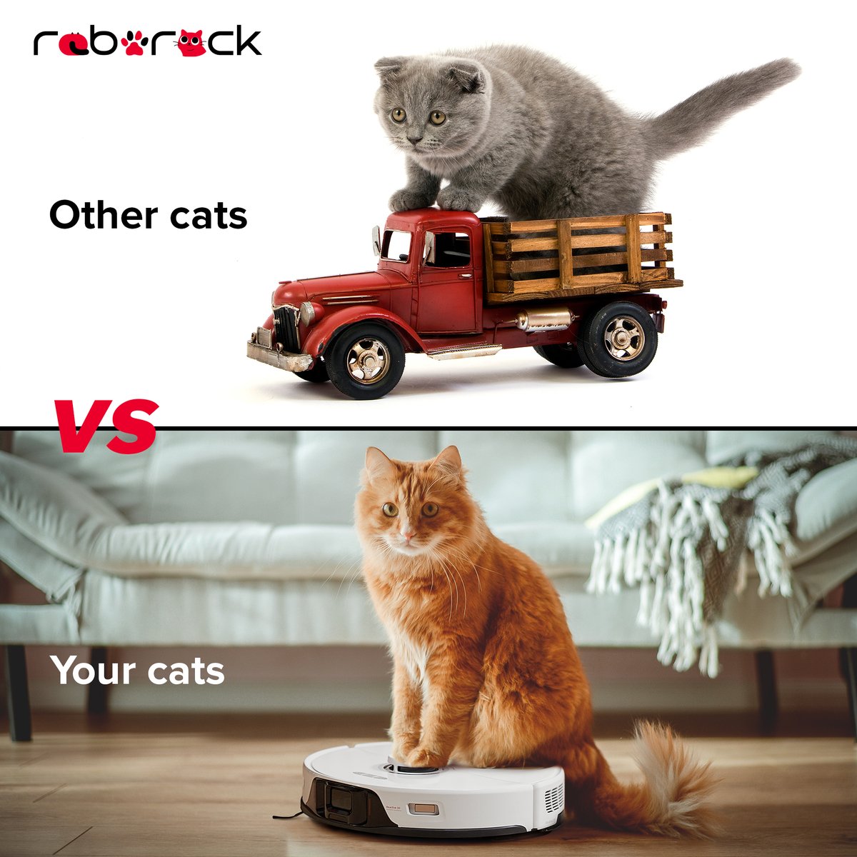 If you can’t afford a car for your cats, why not a Roborock. Come to meet Roborock at CatCon in California, Event Details: 🌆Location: Pasadena Convention Center in Pasadena, CA 🙋🏼‍♀️Booth Number: 325 🐱Meet and Greet Time: 1 pm on Saturday and Sunday #PurrfectlyClean #roborock