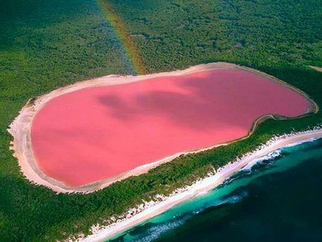 Crypto_Toro21's tweet photo. Hola a todos 🫡 

$BTC : 29405$    📈
$ETH : 1864$   📉
$DOT : 5.20$  📉

El lago rosa Hillier de Middle Island en #Australia 🇦🇺 https://t.co/tJfoeXkACa
