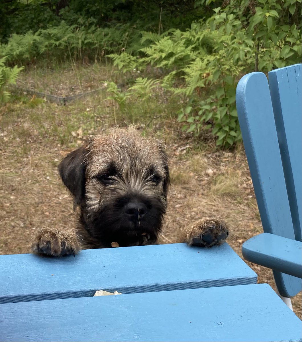 Agnes Wold tweet media