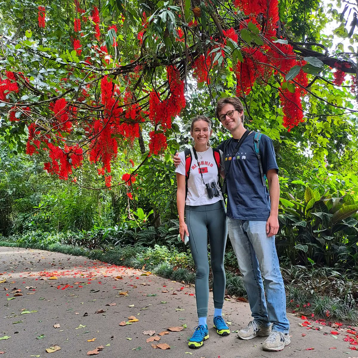 Nature Walk in the Royal Botanic Gardens, Peradeniya🤠#srilanka #visitsrilanka #exploresrilanka #tours #wildlifetours #naturetours #tourguide #guidedtours #adventure #adventuretravel #bespoke #experience #immersive #vacation #holiday #experientialtravel #experientialtravellerlk