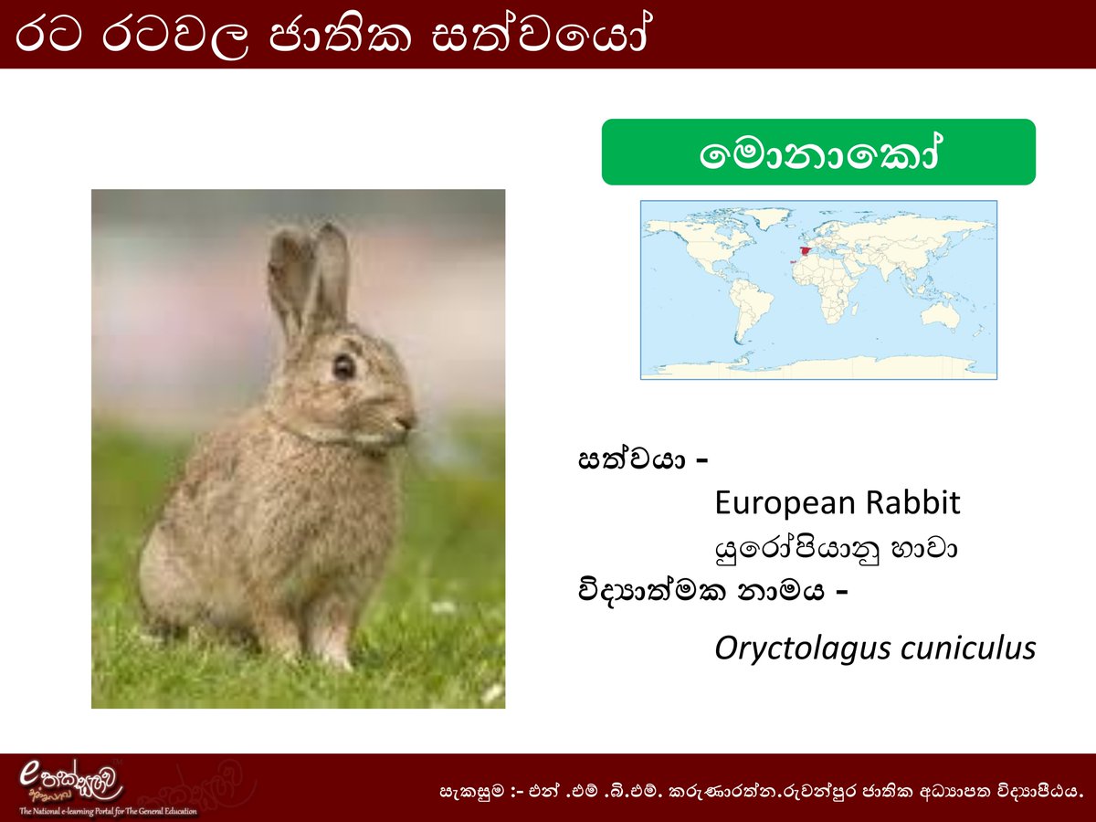 අඩිතාලම tweet media