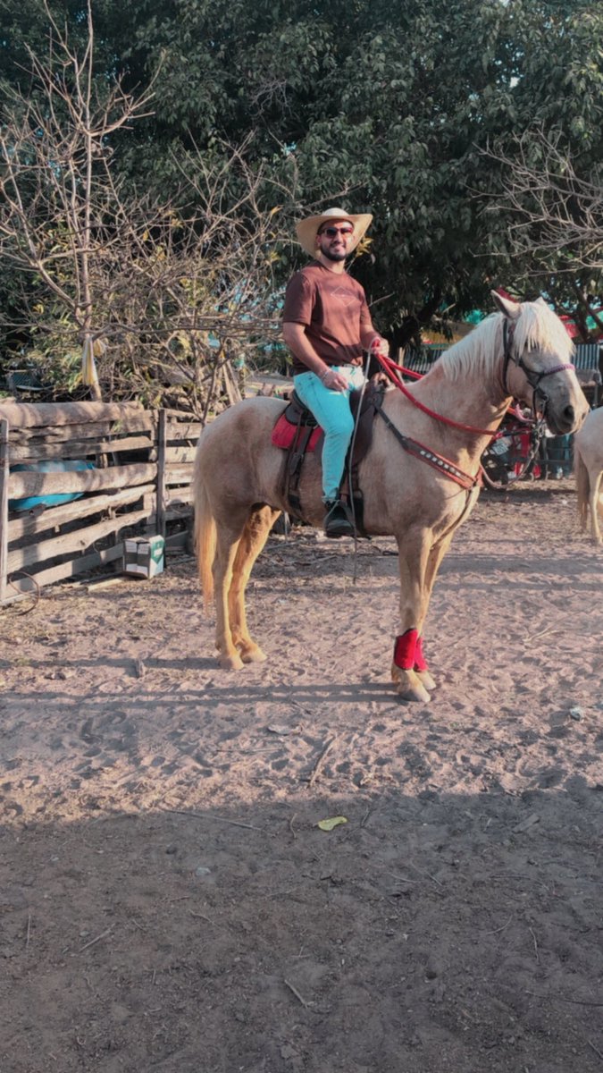 AJivago's tweet photo. Uma cavalona num cavalão https://t.co/3ctFLicfrt