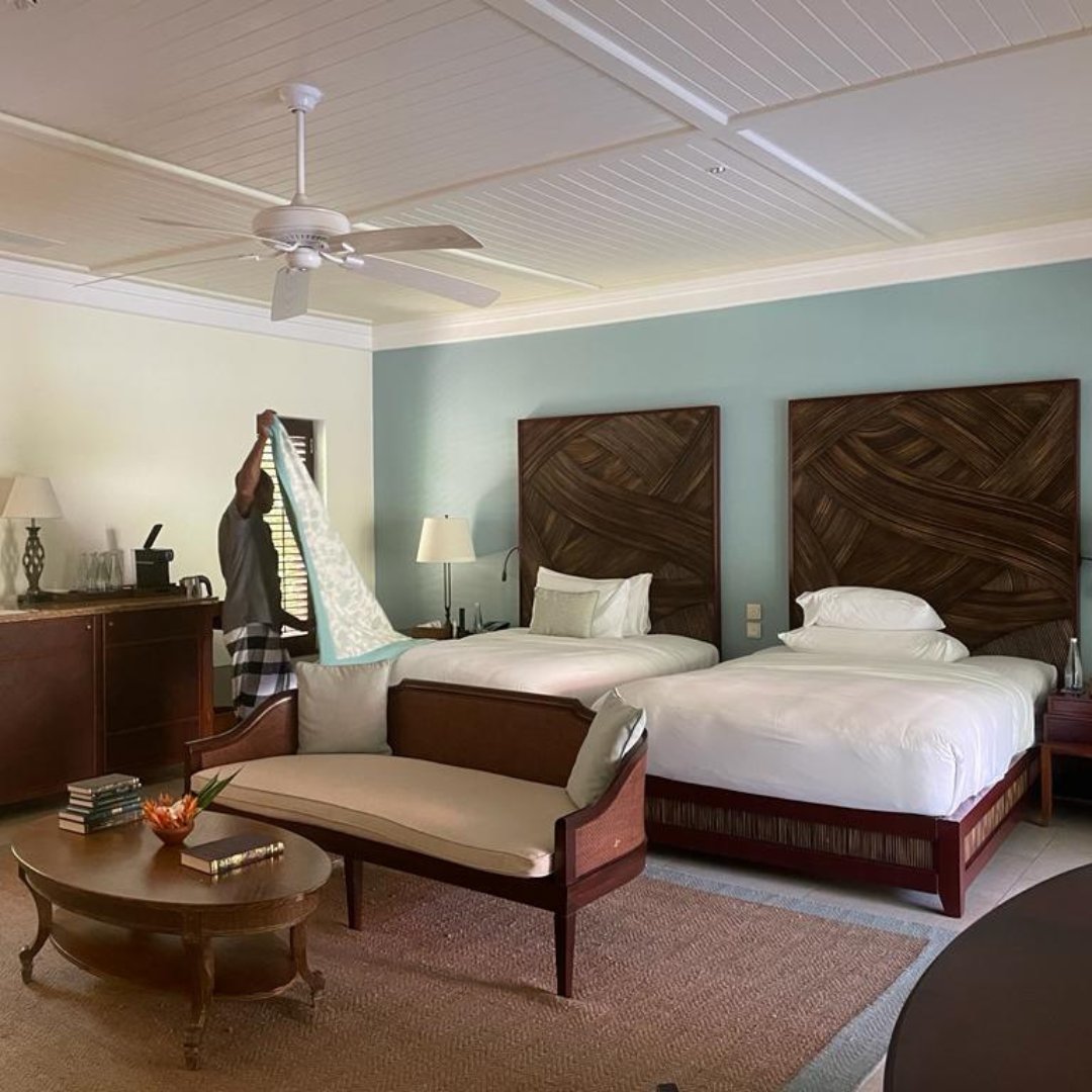 Resplendent Ceylon tweet media