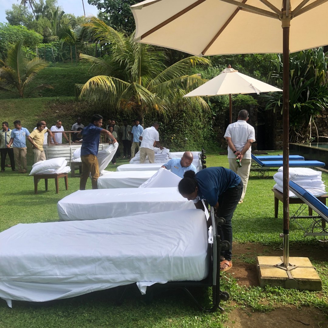 Resplendent Ceylon tweet media