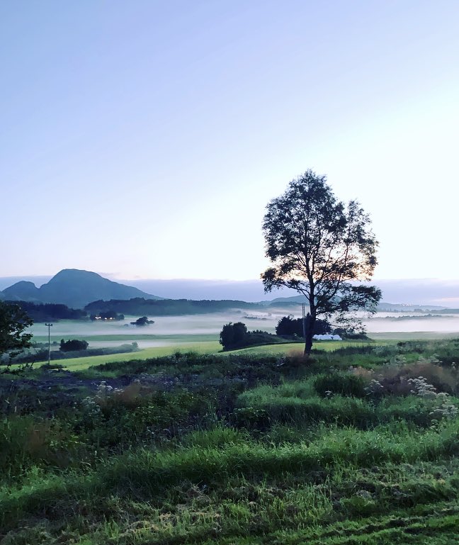 osloberit's tweet photo. Nord-Norge er ufattelig vakkert midt på natten #sømna https://t.co/jozp2F6whF