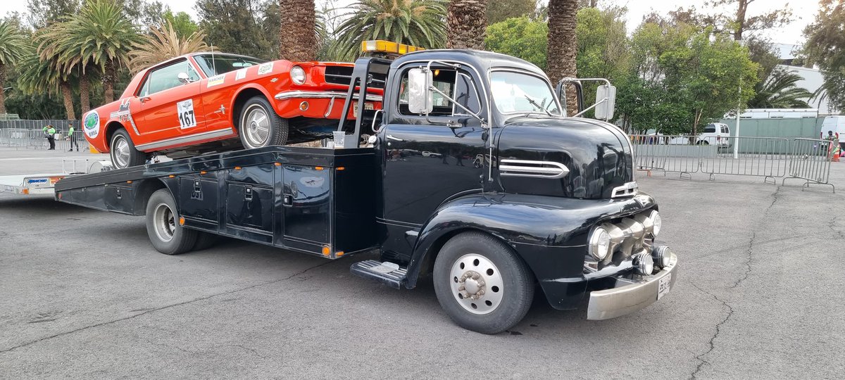 MustangRMX's tweet photo. Mustang y COE

#MRM #ANCM #KRMC #mustanglatam #familymustang #worldofmustang #mustang #v8werk #V8 #kor6 #prmseguros  #RevistaSomosCustom #dgrtriumph https://t.co/gDJVJvajct