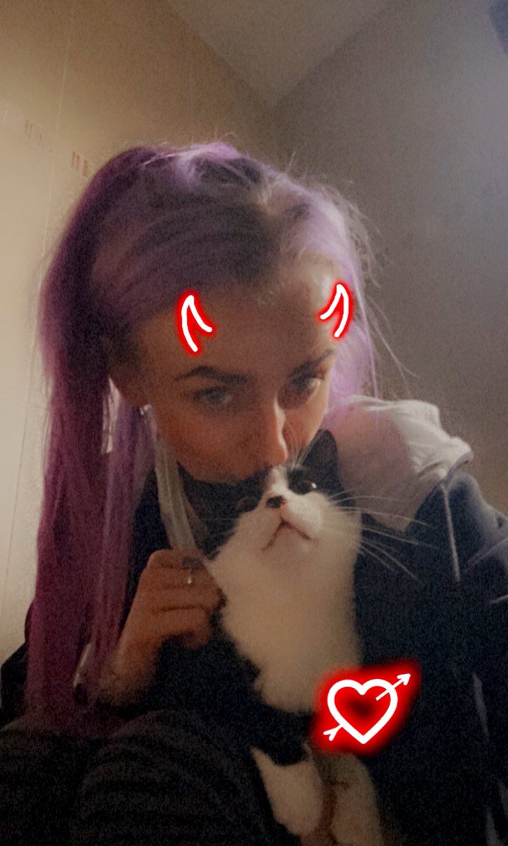 tailssandsonic's tweet photo. I absolutely adore all cats, all of them. But I honestly cannot express in words how fecking much I bloody love my cats. Truly the best things in my life and no matter how shit I feel, can always make me smile🥹😻 https://t.co/Th7Q3MV18d