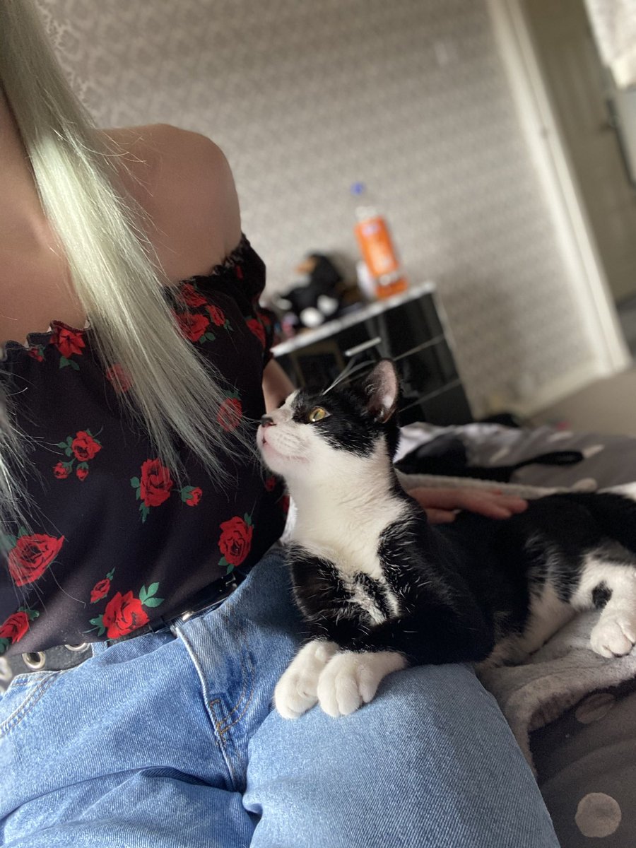 tailssandsonic's tweet photo. I absolutely adore all cats, all of them. But I honestly cannot express in words how fecking much I bloody love my cats. Truly the best things in my life and no matter how shit I feel, can always make me smile🥹😻 https://t.co/Th7Q3MV18d