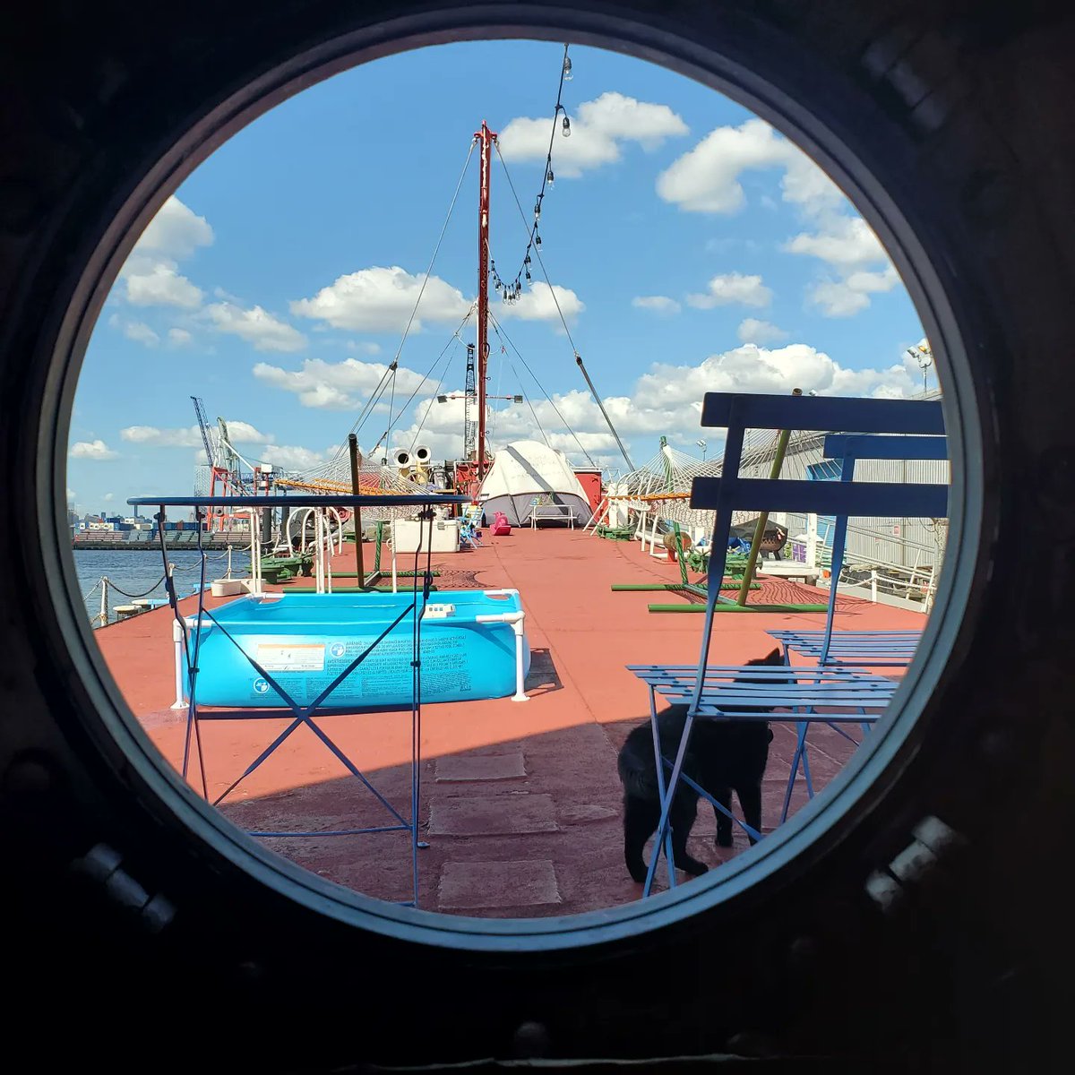 PortSideNY's tweet photo. What a difference a break in the weather makes! Or was it our #Barbie promo? 

Lots more people on the #MaryWhalen today... a lovely scene during #TankerTime... a TankerTour for a family with a home-schooled 5 year old with a future-engineer brain (he's already taking about RPMs). 

We don't want to stick a camera in everyone's face, so few people photos  ☀️🎨📚🛳🌊⚓️🐈‍⬛🐾

#RedHook #Brooklyn