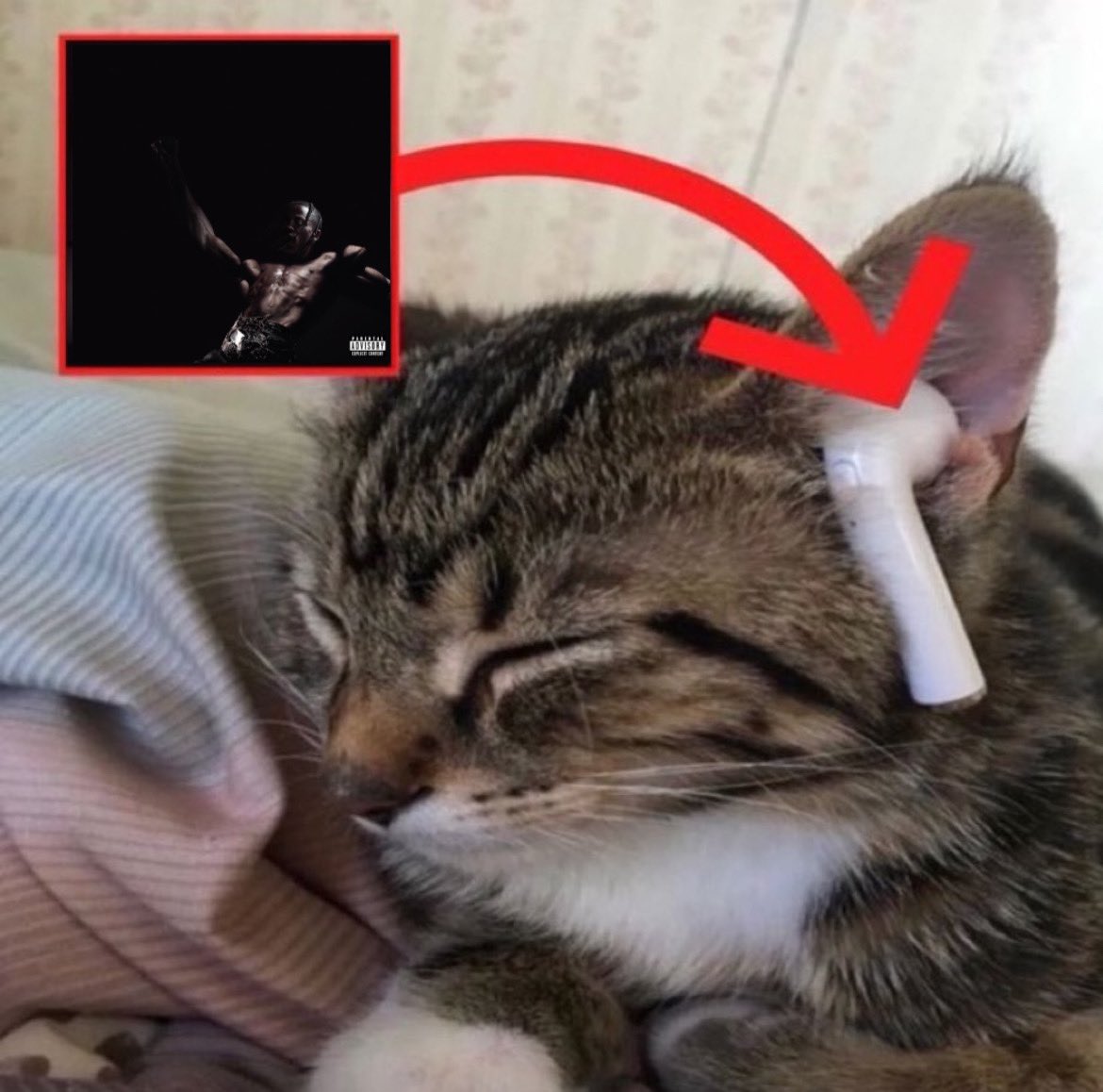 ohfold's tweet photo. he's listening to FE!N https://t.co/u4yzwcp7nd