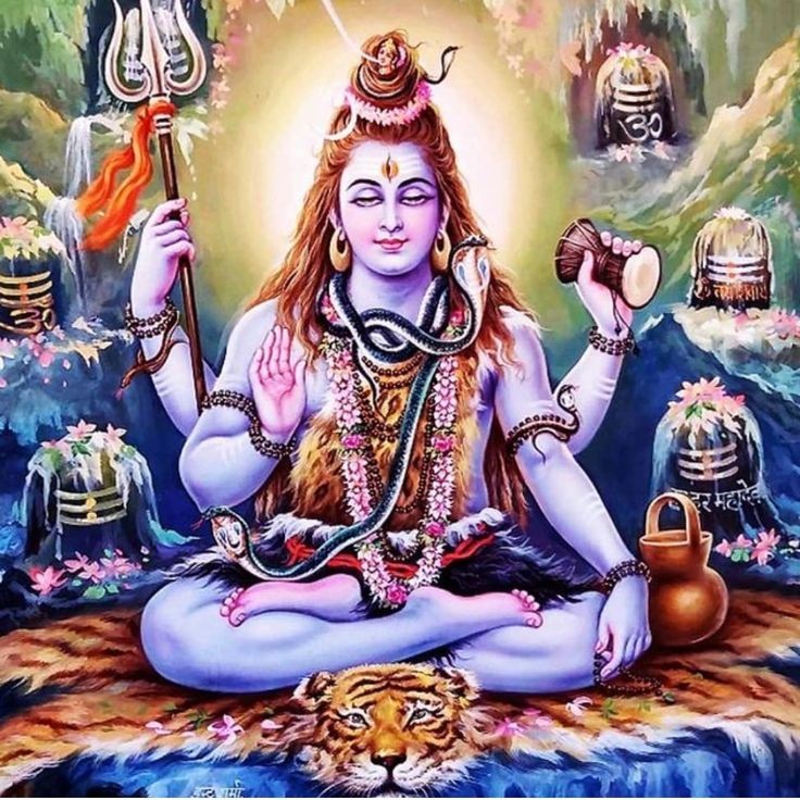 Ansh Gaur tweet media