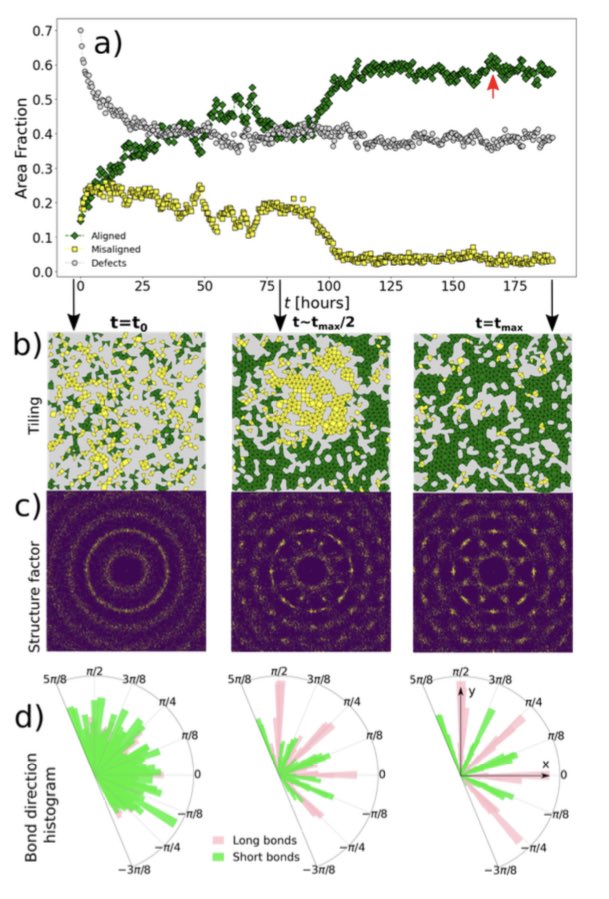 DNA_Nanotech's tweet photo. Quasi-crystalline order in vibrated granular matter
https://t.co/WIYnuTnK0p
First experimental observation of #spontaneous #quasicrystal self-assembly at the #millimeter #scale, obtained in a fully athermal system of macroscopic #spherical #grains #vibrated on a #substrate. https://t.co/3LhrGxGcc1