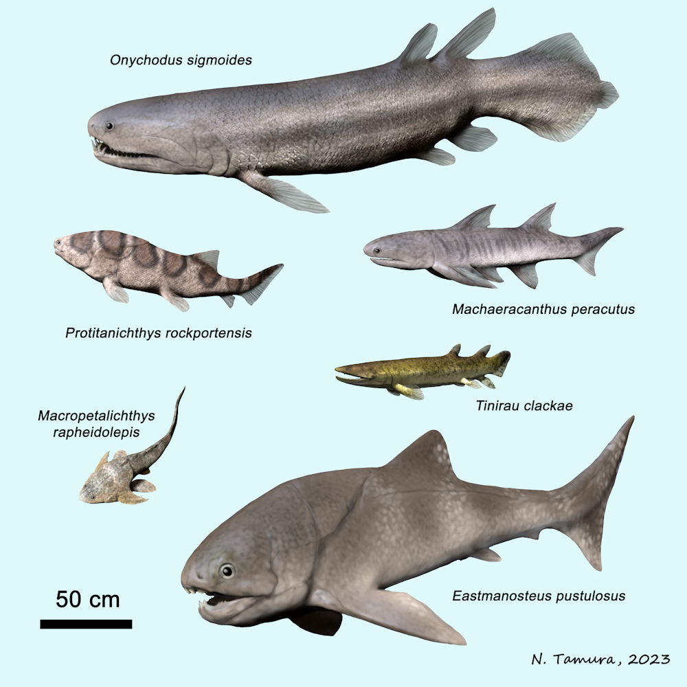 Nobu Tamura on X: Devonian Fish Series #13: Middle Devonian of