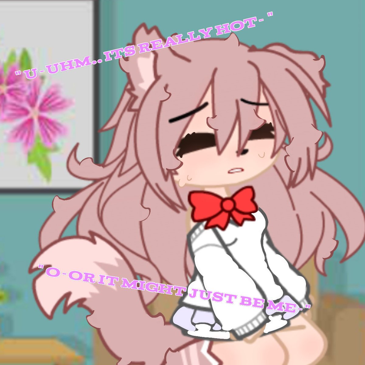 Willow..Foxes tweet media