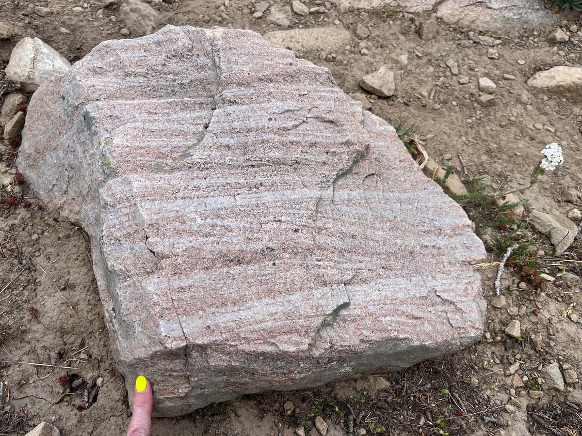 Cross bedding in quartzite of the Mesoproterozoic Uinta Mountain Group, Uinta Mtns., Utah

My neon yellow-green fingernail for scale 💅🏿