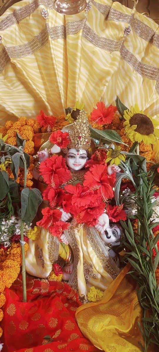 Maa BaglaMukhi Mandir tweet media