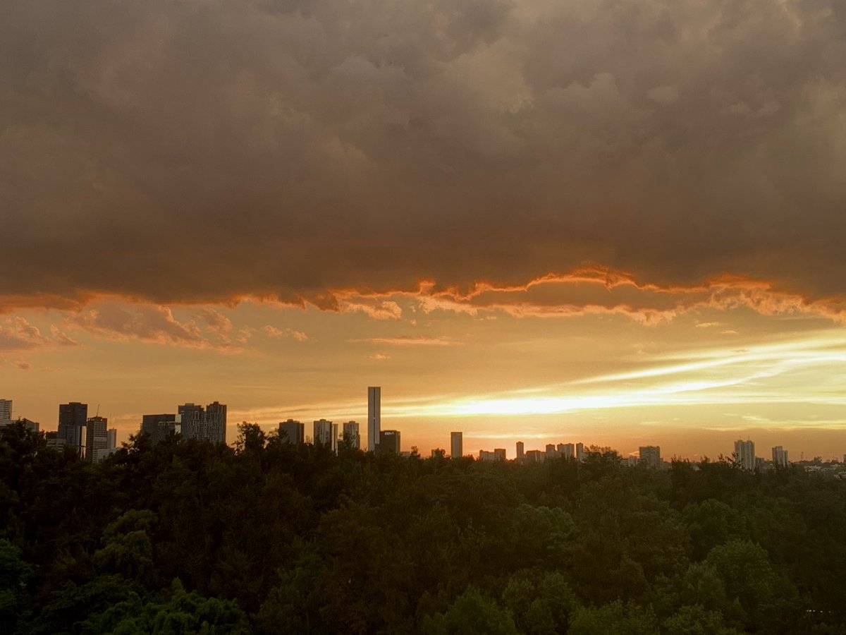 Federico Gonzalez Ma tweet media