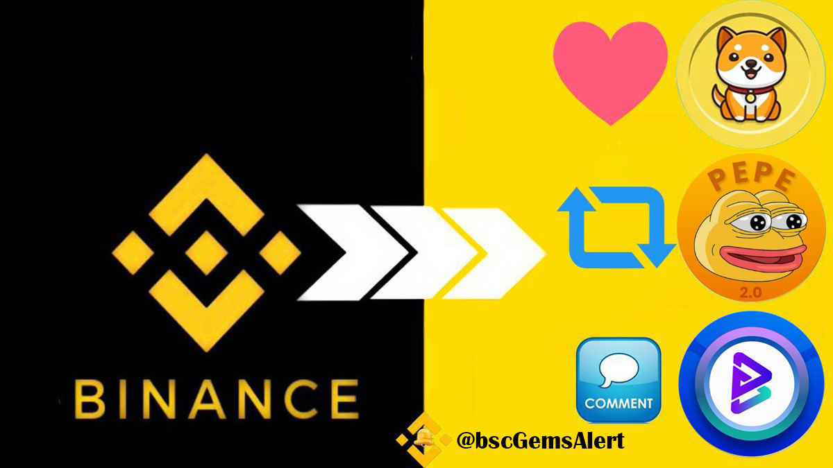 🚨BSC Gems Alert🚨 tweet media