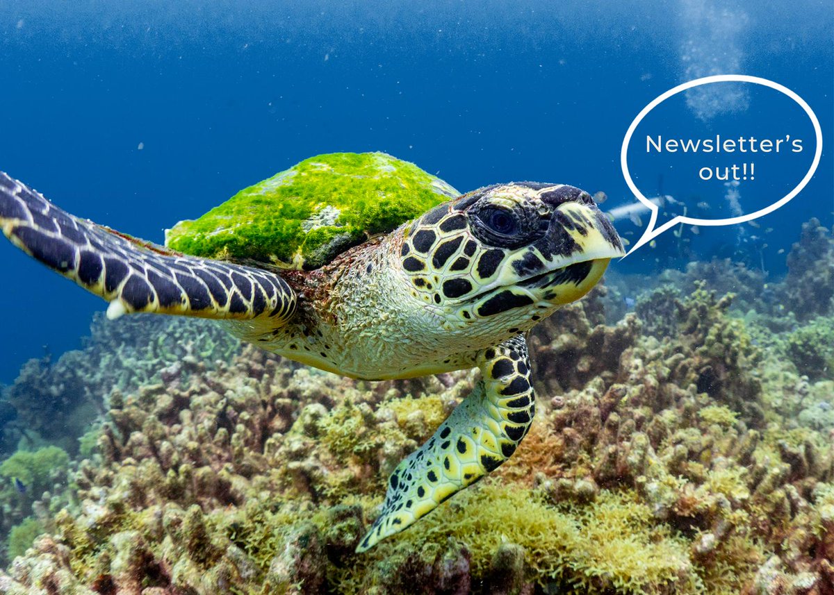 Investable Oceans (@investableocean) on Twitter photo It's newsletter day!! This month, we're stuffed with goodies, including:
š§¾ A new guide to blue carbon ecosystems
š¤ A <a href="/DeutscheBank/">Deutsche Bank</a> thought-piece on the blue economy
š¦ One Ocean Foundationās third Business for Ocean Sustainability report
š Sign up at investableoceans.com/signup It's newsletter day!! This month, we're stuffed with goodies, including:
š§¾ A new guide to blue carbon ecosystems
š¤ A <a href="/DeutscheBank/">Deutsche Bank</a> thought-piece on the blue economy
š¦ One Ocean Foundationās third Business for Ocean Sustainability report
š Sign up at investableoceans.com/signup