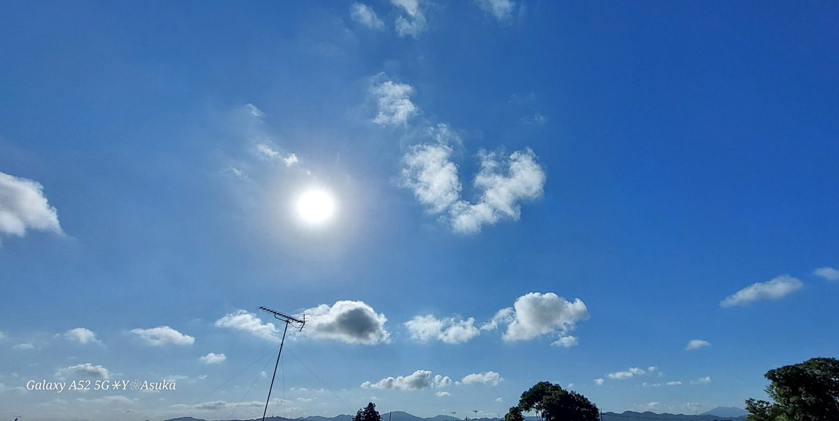 yumeasutw's tweet photo. #青空 にお日様ギラギラ #積雲 がプカプカ流れ行く月曜日の朝🌤️
砂利にこぼれた種から咲いた #アサガオ 💜
予想最高/最低気温🌡️36℃/25℃
晴れ一時雨☀️/☔
お洗濯日和👕👖夕方は俄か雨にご用心⛈️
#空の名前
#天気の図鑑 #雲の超図鑑 #雲友の会
#朝顔 #庭花 #花 #Flower
#a2023 #a0731 #a202307 https://t.co/hrZFPSuDdQ