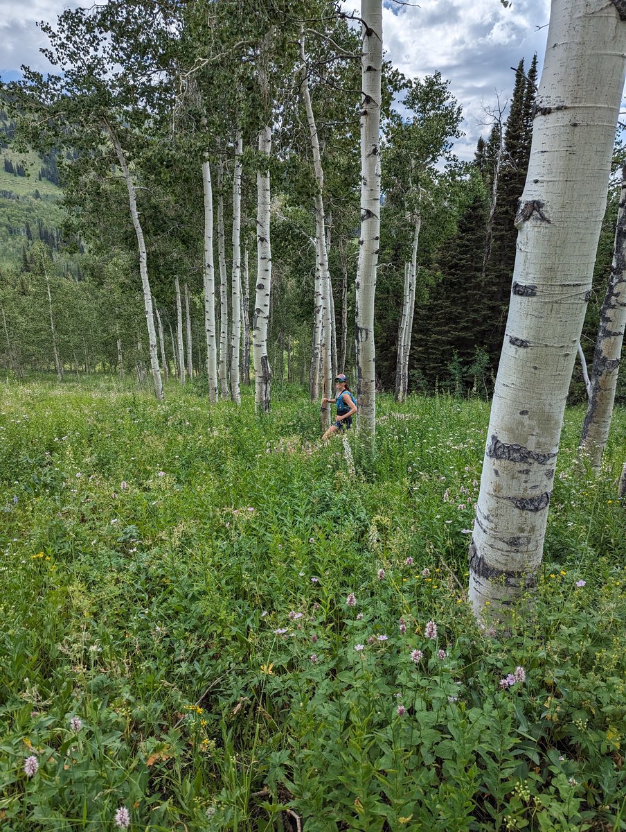 Update:
It’s summer around here, and I’m pretty happy about it. 🏃‍♀️ 😃