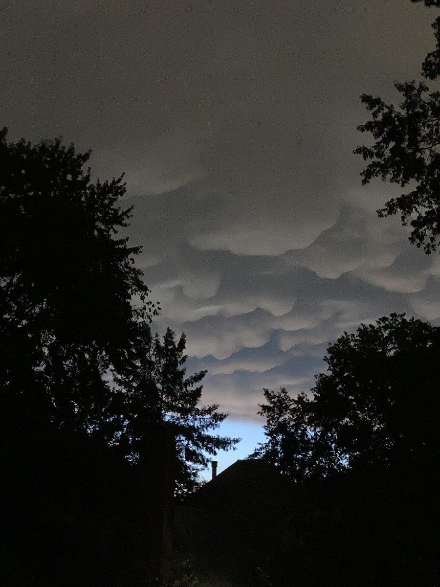 Barb Schulte tweet media