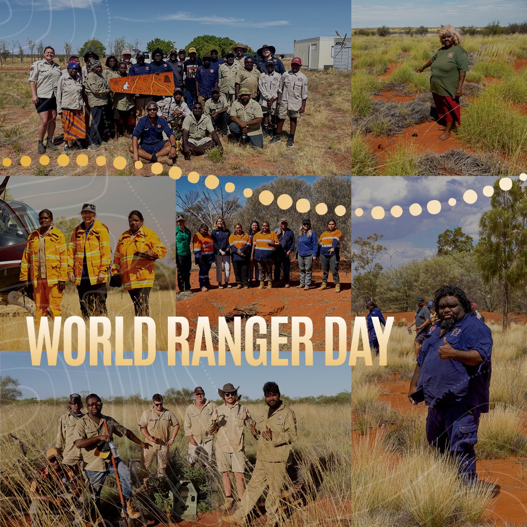 Happy #WorldRangerDay! Looking after desert country is a big job. Together, Indigenous desert rangers are looking after 2.7 million square kilometres – one-third of Australia. 1/3