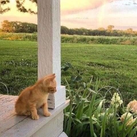 poetical photos. (@poeticalphotos) on Twitter photo 