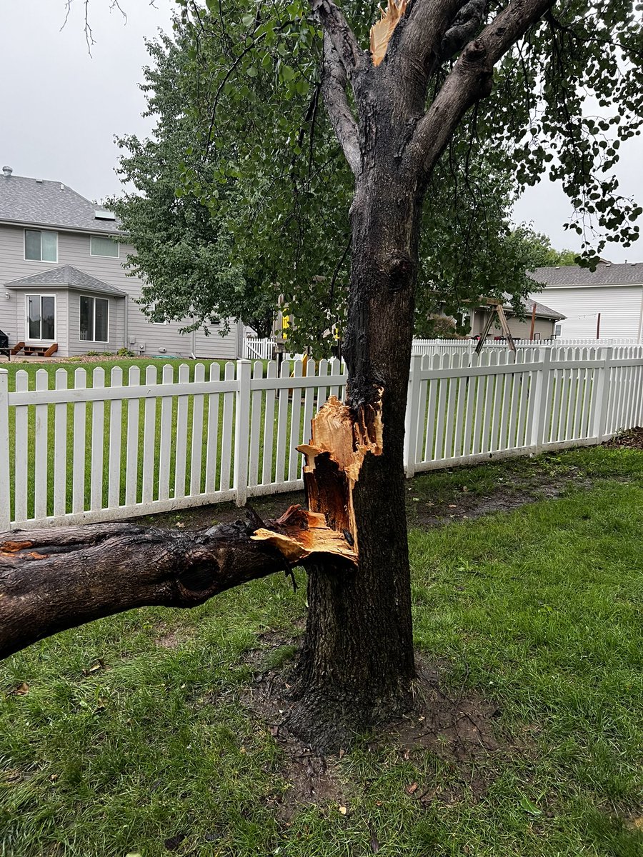 harleyMB72's tweet photo. @rustywx That storm that came through Omaha packed a punch. My pear tree didn’t fare well from wind/lightning. 07/30/23@4:50pm https://t.co/At0Sx6sfzI
