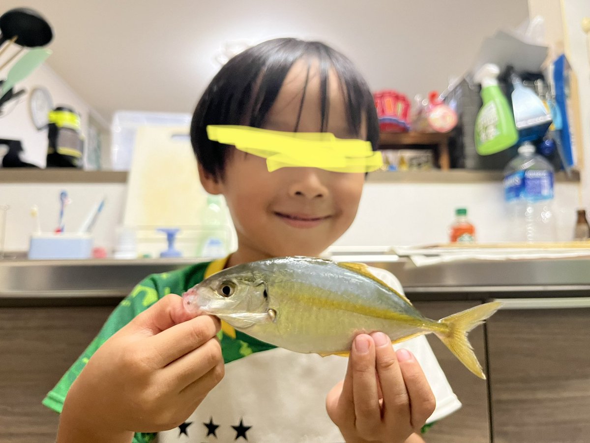azukichan804's tweet photo. のべ竿仕掛けのチビシマアジ。全員釣れて良かった。

#シマアジ
#ショゴ
#ファミリーフィッシング https://t.co/O53AkjoAs1