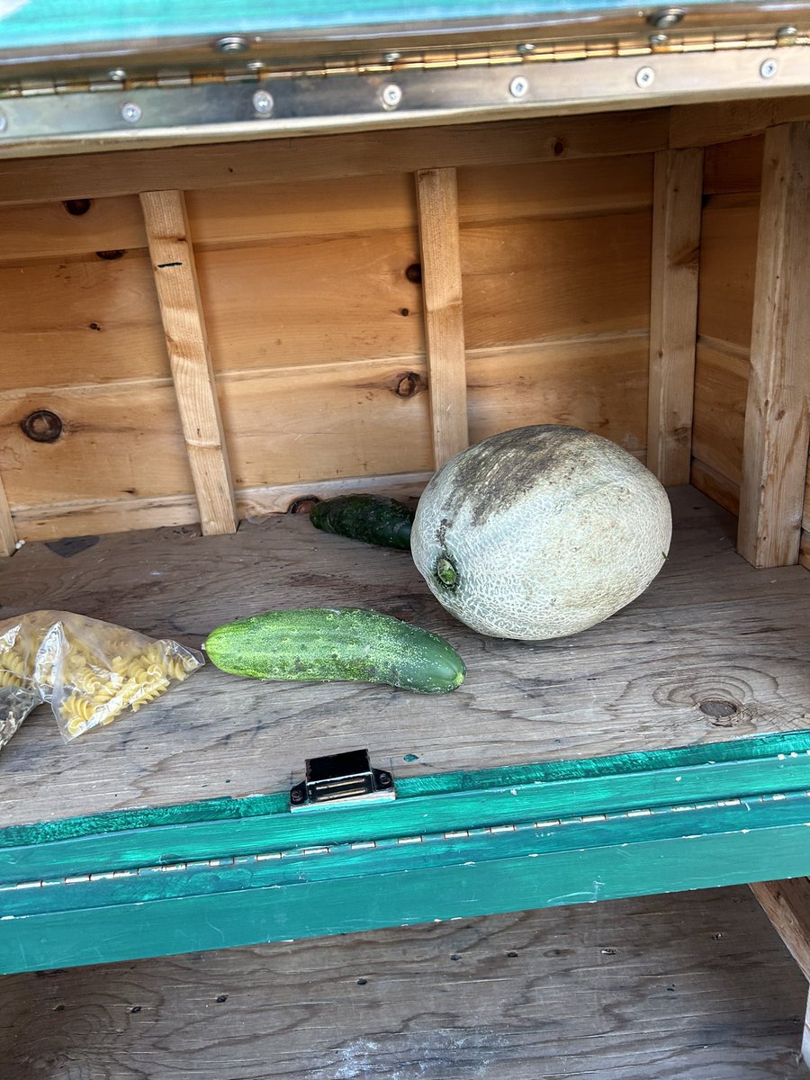 I love when one passion (school garden) helps to feed the second passion (food pantry). <a href="/SEWchargers/">SEWchargers</a> <a href="/MrsLalondeSTE/">Renee Lalonde</a>