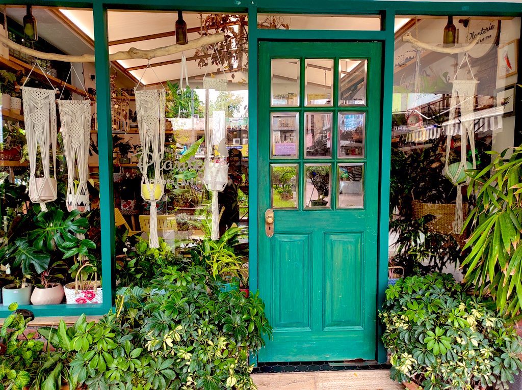 Planterie_in's tweet photo. We are finally on twitter. For those who don’t know us we are a little piece of green heaven in South #Delhi. Visit us for #plants, #art and #tea. 
If you want to know us better check us out on insta @planterie.in or better still visit us at 75, Aurobindo Place Market. https://t.co/nYNwkvQfb4