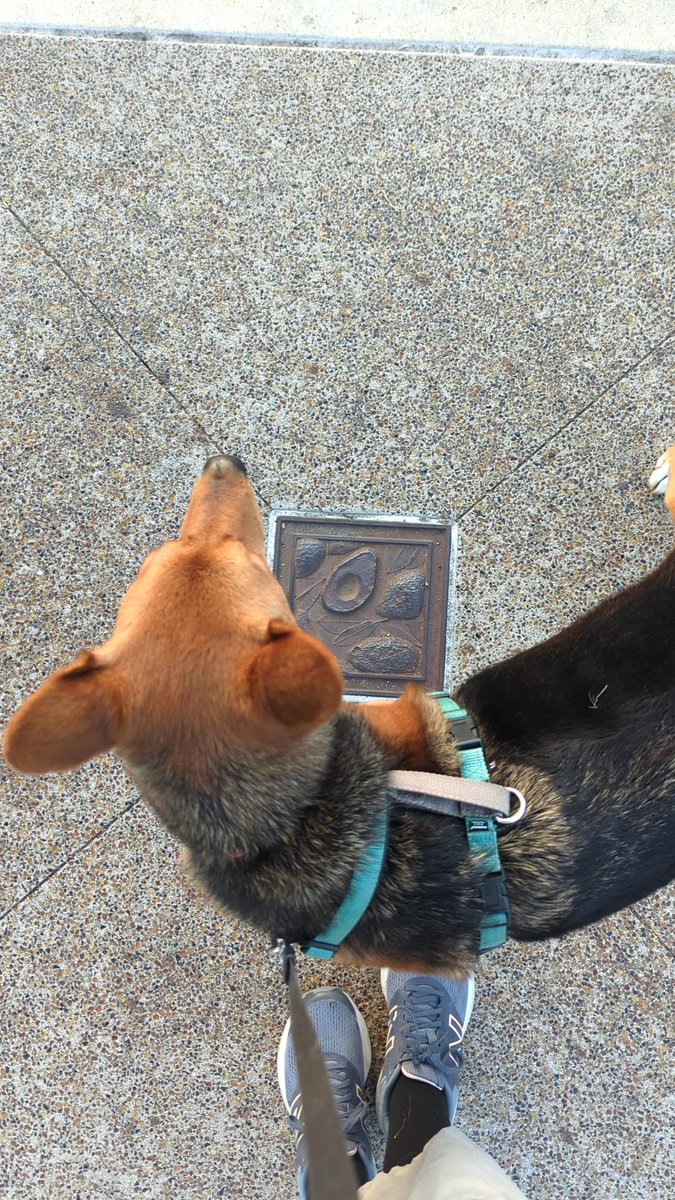 FeedGoat2000's tweet photo. Feedgoat2000 found #cubiecoin in a Blue vault at this location! Join me playing #coinhuntworld, It's awesome! https://t.co/SyrN4HtJ78 #cryptocurrency #2512859 https://t.co/DNIs4kXzE7