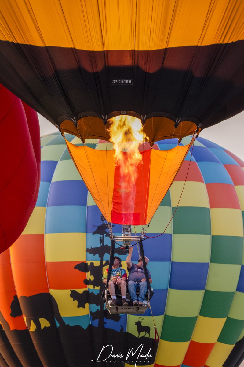 Sky Pilot #NJBalloonFest2023 @NikonUSA @BenroTripods