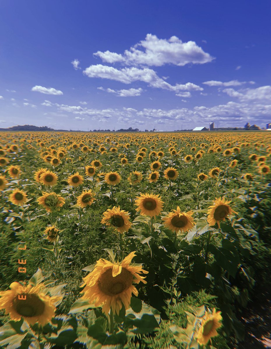 The angle vs. the shot 🌻