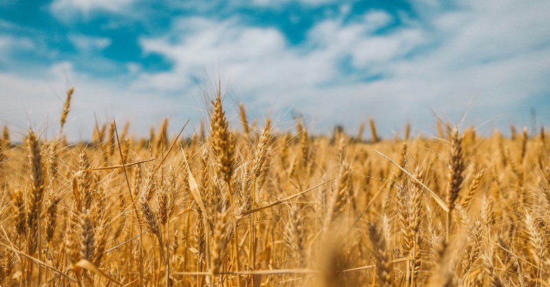 uabright's tweet image. Любіть Україну, як сонце, любіть, 
як вітер, і трави, і води… 
В годину щасливу і в радості мить, 
любіть у годину негоди.

Любіть Україну у сні й наяву, 
вишневу свою Україну, 
красу її, вічно живу і нову, 
і мову її солов'їну.

В. Сосюра

#Україна #поезія #сосюра #Ukraine