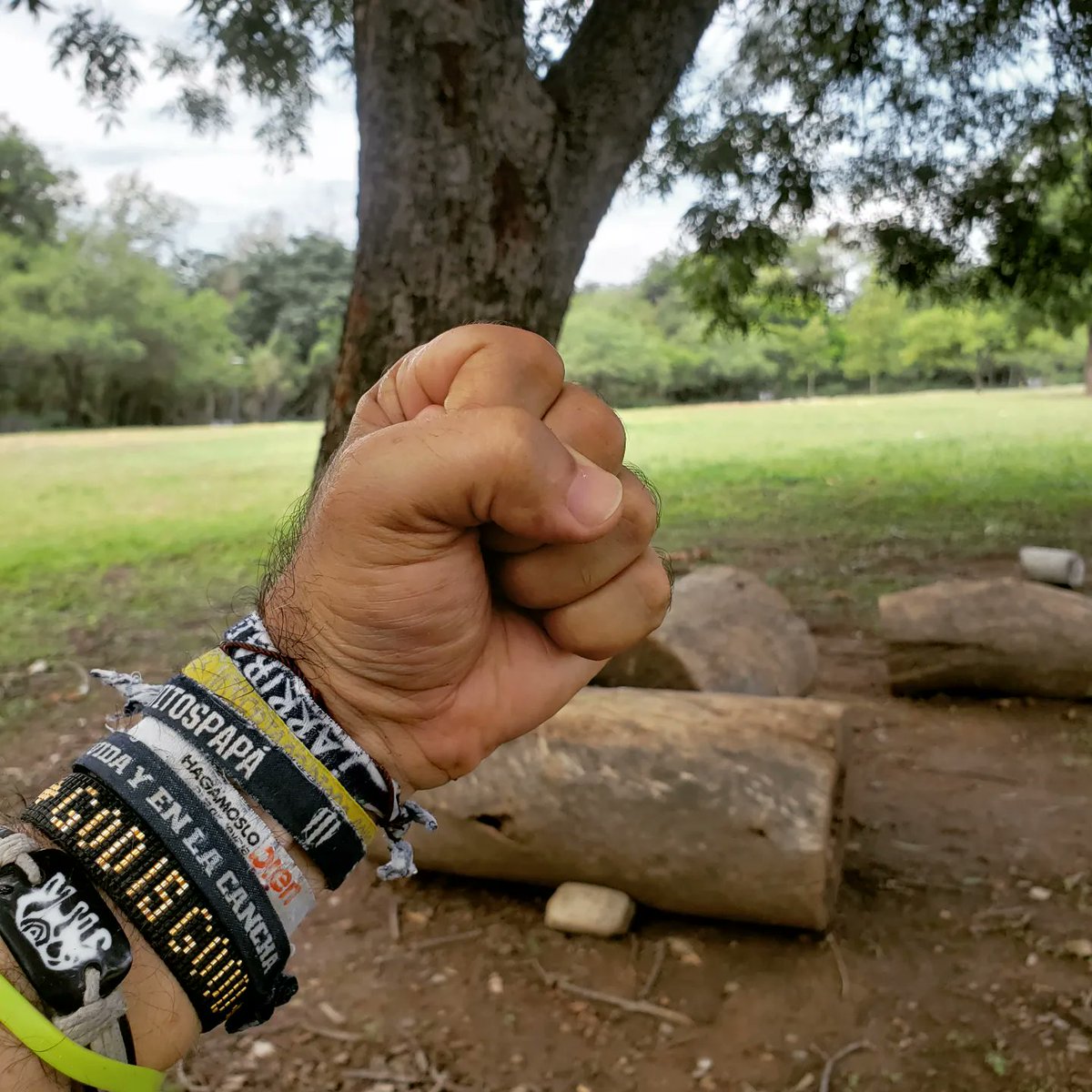 lozanohector's tweet photo. #AmorYPaz
#TransformArte
#EnLaVidaYEnLaCancha
Desarrollar la #resiliencia es afrontar con valentía y enfrentar los retos con #determinación & #sabiduría
... es una conversión en constante evolución que marca diferencia
#RestaurArte es la clave para #ActivArte
#EnLaVidaYEnLaCancha https://t.co/uqhSSWupZk