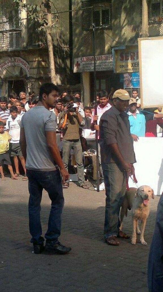Itz_Kettavan_'s tweet photo. Guess The Movie Name in 0.01 sec 😉💥

#Leo @actorvijay https://t.co/dwcMCUyyTy