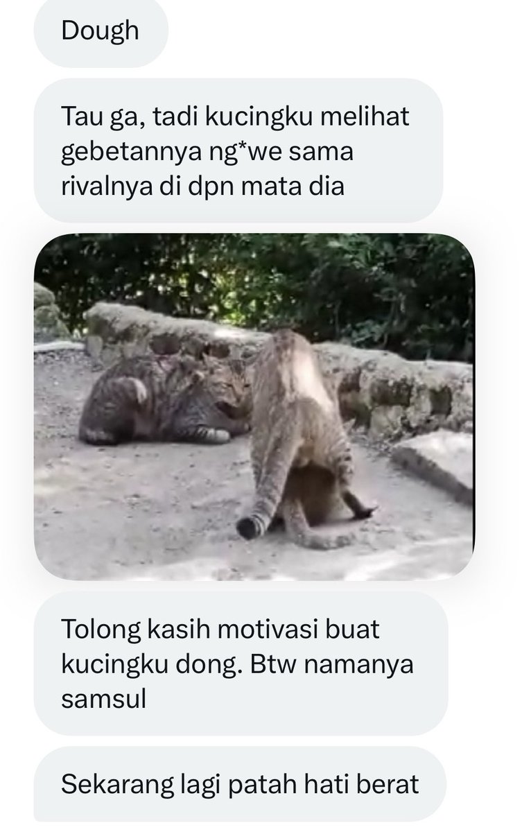 AymanAlatas's tweet photo. Semangat samsul semoga dapat yang lebih baik ya https://t.co/lplHfJDFD3