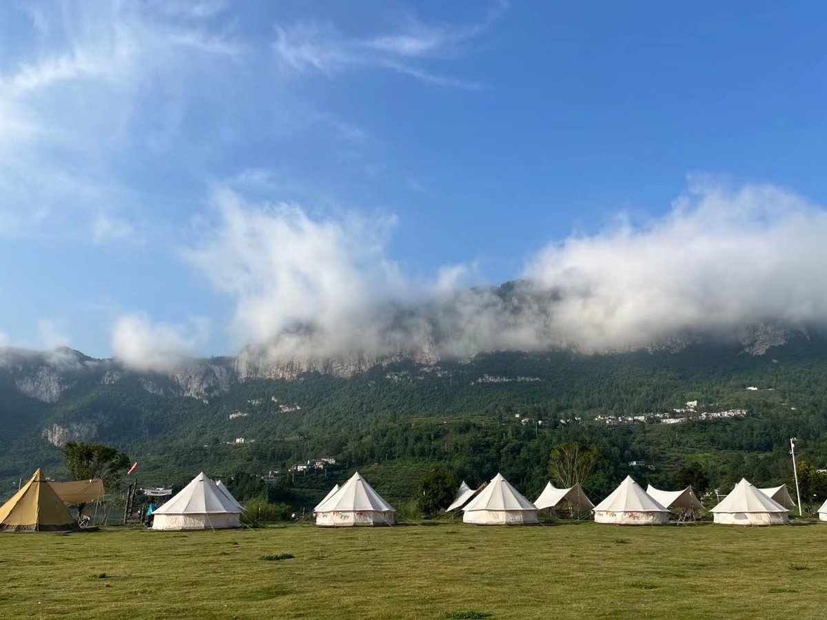 NPC777NPC tweet media