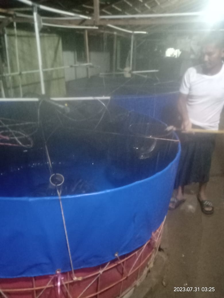 BudiantoSpi's tweet photo. Selasa (31/7/23), Budianto, Luhkan Kab. Indragiri Hilir, Pokdakan Usaha Bersama Kel.Sei Beringin, Panen Ikan Lele Bioflok, sebanyak 100 kg, size 185 gr, harga 22.000/kg
#GiatLuhkanSatminkalMedan #Inhil #Panen
@bpppmedan_brsdm 
@puslatluhkp 
@brsdm_kp
@kkpgoid https://t.co/3TcDQmjvYL
