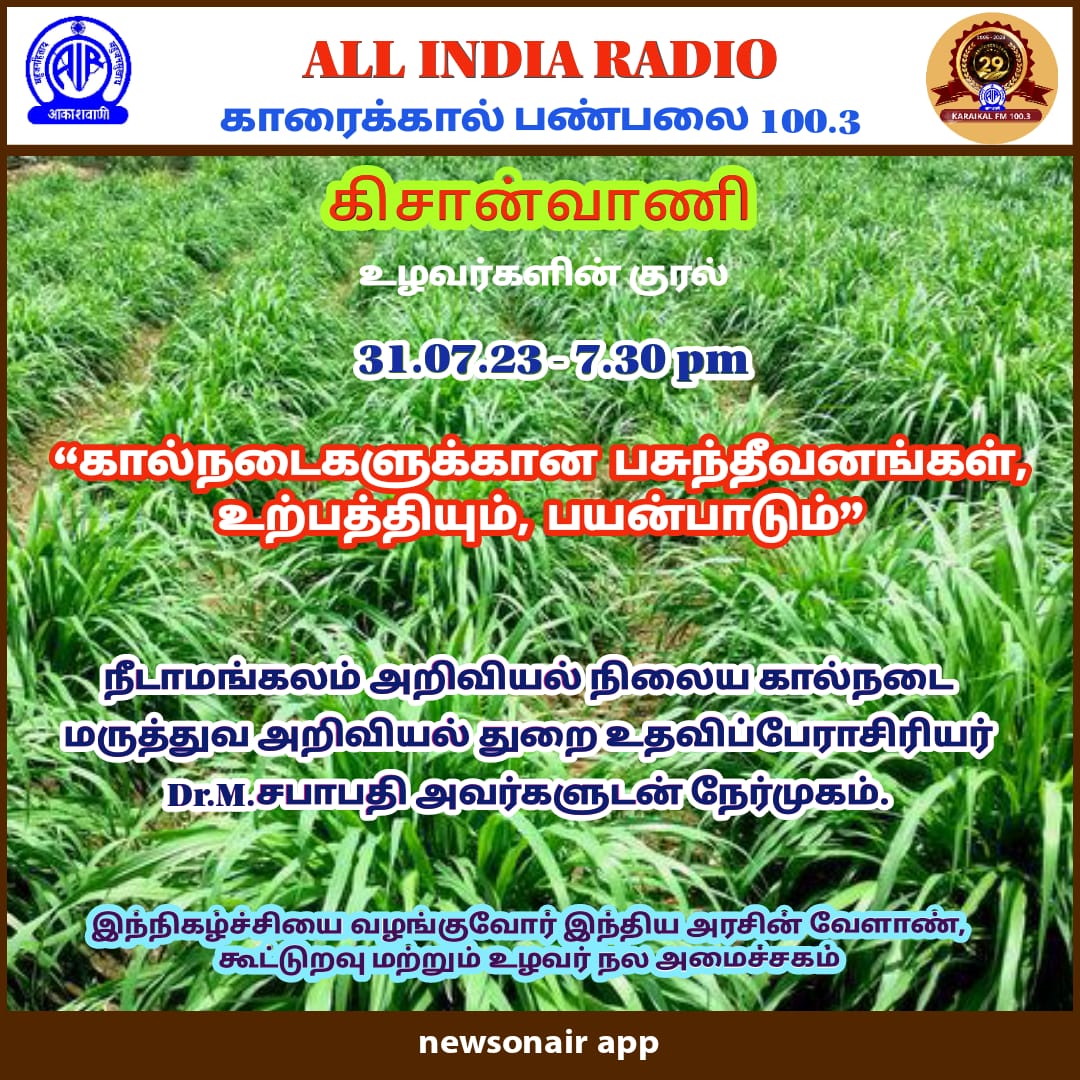 AirKaraikal's tweet image. #cattle #fodder #kisanvani @AirKaraikal @AgriGoI @newsonair App 31-07-2023 - 7.30pm...