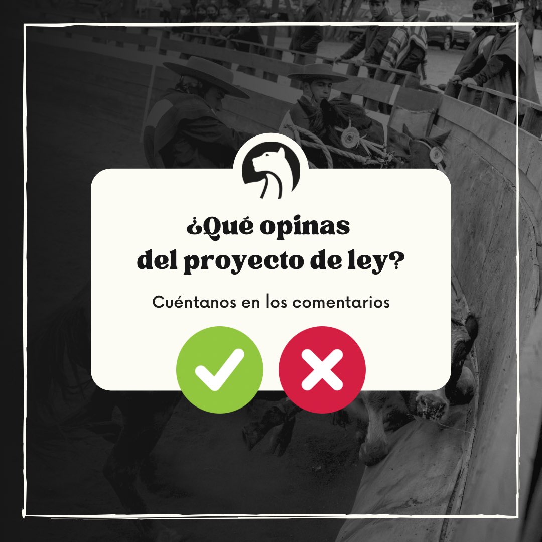 FundacionApla's tweet photo. El día de mañana, lunes 31 de junio, se realizará la votación en la Comisión de Agricultura de la Cámara de Diputadas y Diputados de dos proyectos de ley, que tienen por objeto declara al rodeo como deporte nacional, con el objeto de que sea protegido y promovido por el Estado 🏛️ https://t.co/bgoSxHrN6P