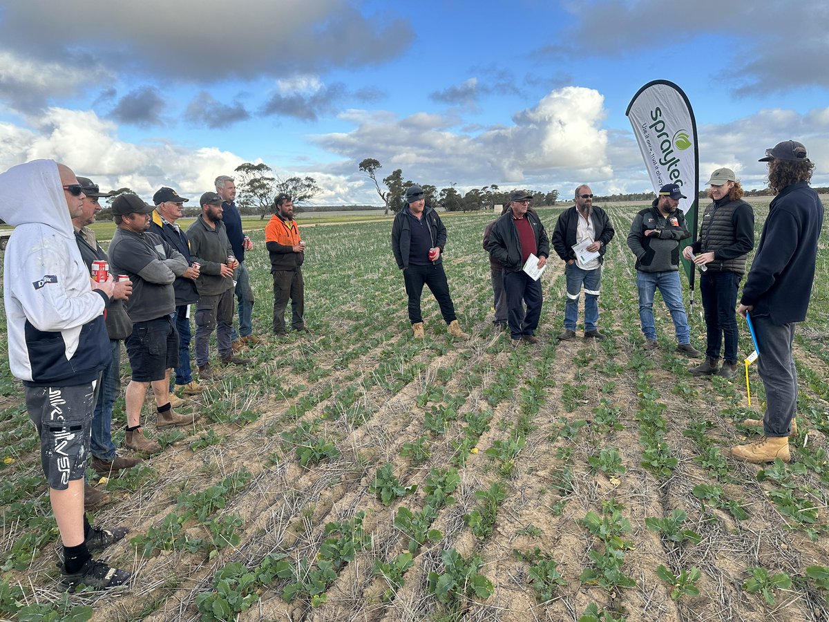 spraytec_aus's tweet photo. Hosting a Perenjori trial walk and extension session in support of @IndependentRur1 and @DavidGrayAglink. Strengthening in-crop use, we assessed #FULLTECMAX and #TOPZINCMAX against the industry standard with Clethodim 360 and Glyphosate at sub-lethal rates. Results to come soon! https://t.co/2BjqS5XWnA