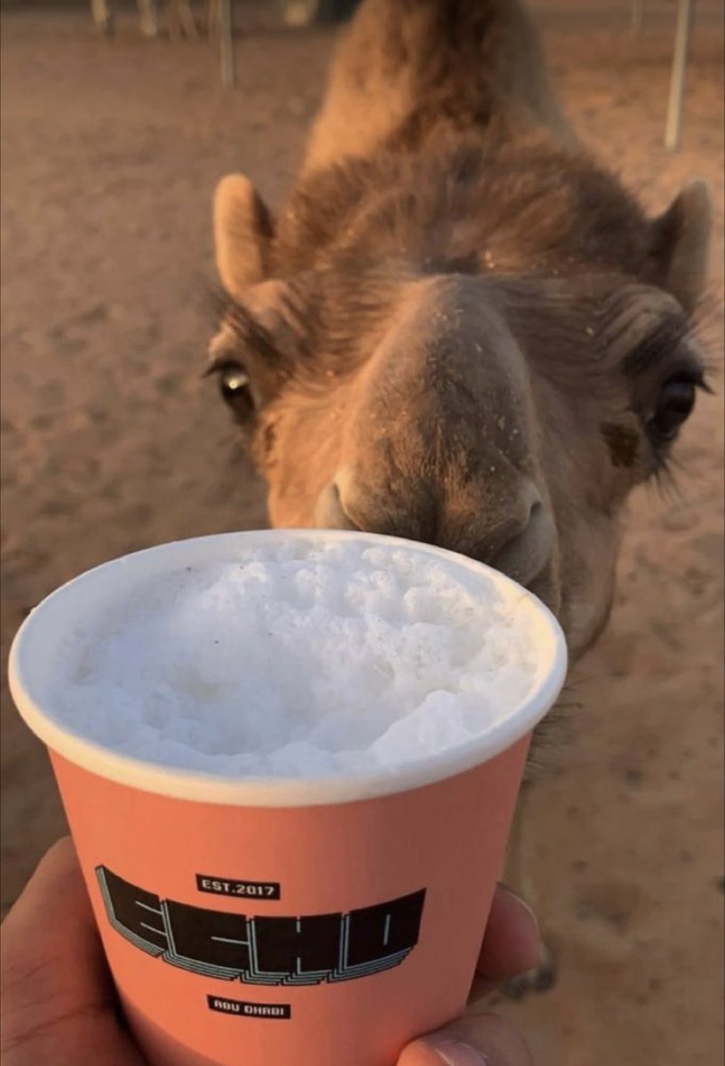 صباح الخير،،،